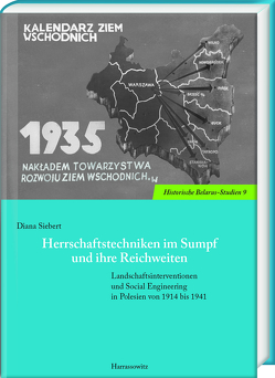 Herrschaftstechniken im Sumpf und ihre Reichweiten von Siebert,  Diana