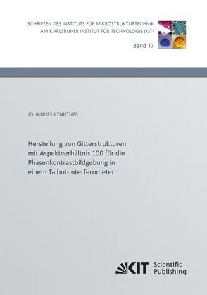 Herstellung von Gitterstrukturen mit Aspektverhältnis 100 für die Phasenkontrastbildgebung in einem Talbot-Interferometer von Kenntner,  Johannes