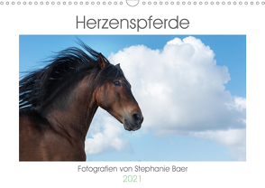 Herzenspferde 2021 (Wandkalender 2021 DIN A3 quer) von Baer,  Stephanie