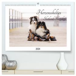 Herzensshelties – Shetland Sheepdogs (hochwertiger Premium Wandkalender 2024 DIN A2 quer), Kunstdruck in Hochglanz von Kudla,  Madlen