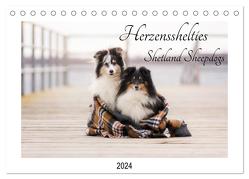 Herzensshelties – Shetland Sheepdogs (Tischkalender 2024 DIN A5 quer), CALVENDO Monatskalender von Kudla,  Madlen