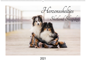 Herzensshelties – Shetland Sheepdogs (Wandkalender 2021 DIN A2 quer) von Kudla,  Madlen