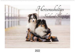 Herzensshelties – Shetland Sheepdogs (Wandkalender 2022 DIN A2 quer) von Kudla,  Madlen