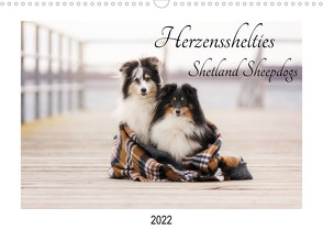 Herzensshelties – Shetland Sheepdogs (Wandkalender 2022 DIN A3 quer) von Kudla,  Madlen