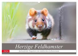 Herzige Feldhamster – farbenfrohe Nagetiere im städtischen Lebensraum (Wandkalender 2024 DIN A2 quer), CALVENDO Monatskalender von Petzl,  Perdita