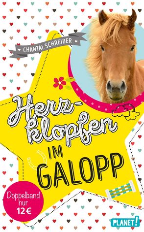 Herzklopfen im Galopp von Schreiber,  Chantal