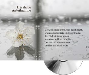 Herzliche Anteilnahme – Wenn Gott sein Ja und Amen spricht von Bräuning,  Heiko