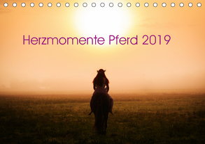 Herzmomente Pferd 2019 (Tischkalender 2019 DIN A5 quer) von Gauger,  Jenny