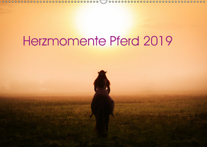 Herzmomente Pferd 2019 (Wandkalender 2019 DIN A2 quer) von Gauger,  Jenny