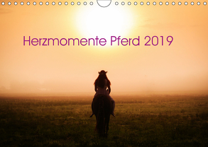 Herzmomente Pferd 2019 (Wandkalender 2019 DIN A4 quer) von Gauger,  Jenny