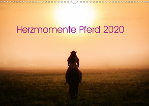 Herzmomente Pferd 2020 (Wandkalender 2020 DIN A3 quer) von Gauger,  Jenny