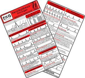 Herzrhythmusstörungen – Medizinische Taschen-Karte von Hawelka Verlag