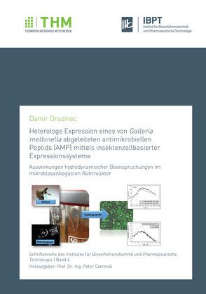 Heterologe Expression eines von Galleria mellonella abgeleiteten antimikrobiellen Peptids (AMP) mittels insektenzellbasierter Expressionssysteme von Druzinec,  Damir