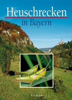 Heuschrecken in Bayern von Schlumprecht,  Helmut, Waeber,  Georg