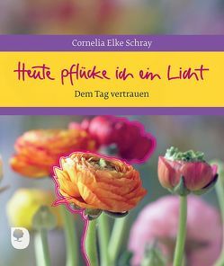 Heute pflücke ich ein Licht von Schray,  Cornelia Elke