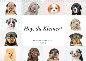 Hey, du Kleiner! (Wandkalender 2023 DIN A3 quer) von Eckelt,  Natalie