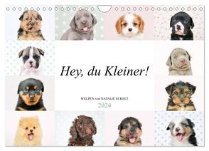 Hey, du Kleiner! (Wandkalender 2024 DIN A4 quer), CALVENDO Monatskalender von Eckelt,  Natalie