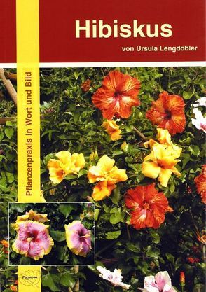 Hibiskus von Lengdobler,  Ursula