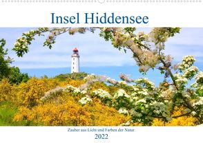 Hiddensee mon amour (Wandkalender 2022 DIN A2 quer) von Anders,  Holm