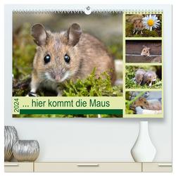 … hier kommt die Maus … (hochwertiger Premium Wandkalender 2024 DIN A2 quer), Kunstdruck in Hochglanz von GUGIGEI,  GUGIGEI