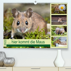 … hier kommt die Maus … (Premium, hochwertiger DIN A2 Wandkalender 2022, Kunstdruck in Hochglanz) von GUGIGEI