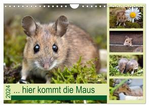 … hier kommt die Maus … (Wandkalender 2024 DIN A4 quer), CALVENDO Monatskalender von GUGIGEI,  GUGIGEI