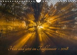 Hier und jetzt im Teufelsmoor – 2018 (Wandkalender 2018 DIN A4 quer) von Arndt,  Maren