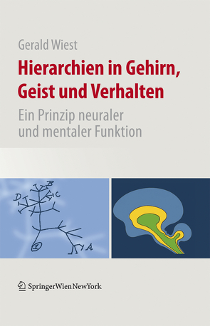 Hierarchien in Gehirn, Geist und Verhalten von Solms,  Mark, Wiest,  Gerald