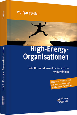 High-Energy-Organisationen von Jetter,  Wolfgang