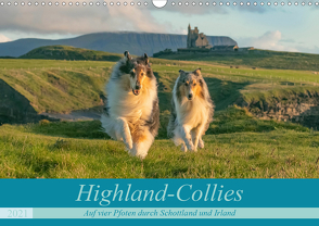 Highland-Collies – Auf vier Pfoten durch Schottland und Irland (Wandkalender 2021 DIN A3 quer) von Elling,  Julia