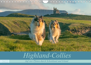 Highland-Collies – Auf vier Pfoten durch Schottland und Irland (Wandkalender 2022 DIN A4 quer) von Elling,  Julia