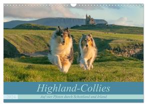 Highland-Collies – Auf vier Pfoten durch Schottland und Irland (Wandkalender 2024 DIN A3 quer), CALVENDO Monatskalender von Elling,  Julia