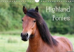 Highland Ponies (Wandkalender 2018 DIN A4 quer) von Fersing,  Nikola