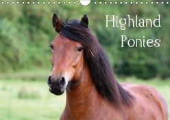 Highland Ponies (Wandkalender 2019 DIN A4 quer) von Fersing,  Nikola