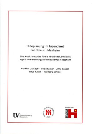 Hilfeplanung im Jugendamt Landkreis Hildesheim von Graßhoff,  Gunter, Karner,  Britta, Renker,  Anna, Rusack,  Tanja, Schröer,  Wolfgang