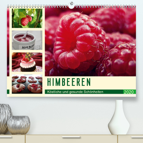 Himbeeren. Köstliche und gesunde Schönheiten (Premium, hochwertiger DIN A2 Wandkalender 2020, Kunstdruck in Hochglanz) von Stanzer,  Elisabeth