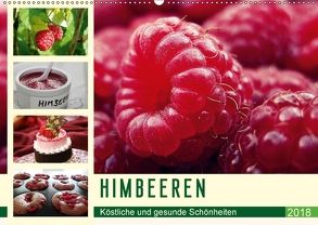 Himbeeren. Köstliche und gesunde Schönheiten (Wandkalender 2018 DIN A2 quer) von Stanzer,  Elisabeth