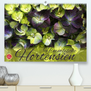 Himmlische Hortensien (Premium, hochwertiger DIN A2 Wandkalender 2023, Kunstdruck in Hochglanz) von Cross,  Martina