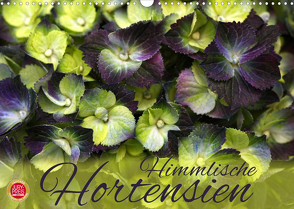 Himmlische Hortensien (Wandkalender 2023 DIN A3 quer) von Cross,  Martina