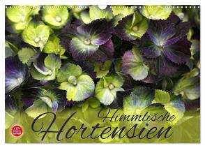 Himmlische Hortensien (Wandkalender 2024 DIN A3 quer), CALVENDO Monatskalender von Cross,  Martina