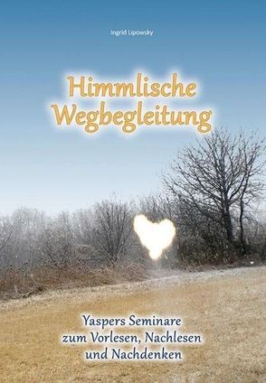 Himmlische Wegbegleitung von Lipowsky,  Ingrid