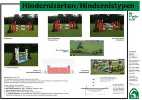 Hindernisarten/Hindernistypen von Bödicker,  Georg Ch, Deutsche Reiterliche Vereinigung e.V. (FN), Gego,  Arno, Petersen,  Olaf, Sattler,  Hans-Werner, Weier,  Paul