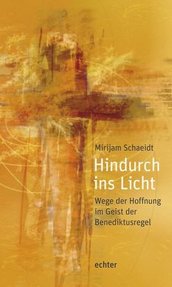 Hindurch ins Licht von Schaeidt,  Mirijam