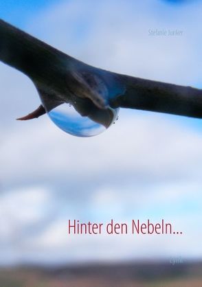 Hinter den Nebeln… von Junker,  Stefanie