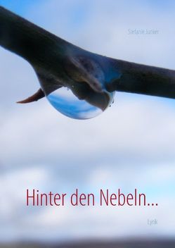 Hinter den Nebeln… von Junker,  Stefanie