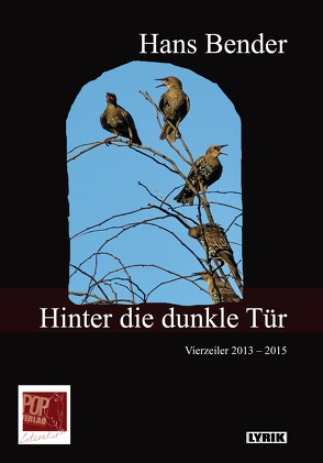 Hinter die dunkle Tür von Bender,  Hans, Breuer,  Theo, Pop,  Traian