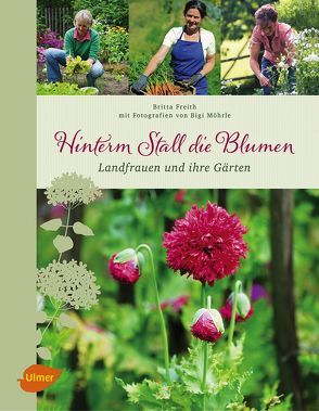 Hinterm Stall die Blumen von Freith,  Britta