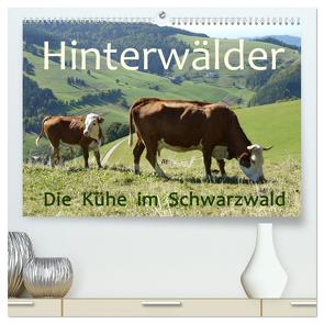 Hinterwälder – Die Kühe aus dem Schwarzwald (hochwertiger Premium Wandkalender 2024 DIN A2 quer), Kunstdruck in Hochglanz von Goldscheider,  Stefanie