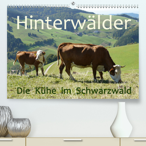 Hinterwälder – Die Kühe aus dem Schwarzwald (Premium, hochwertiger DIN A2 Wandkalender 2021, Kunstdruck in Hochglanz) von Goldscheider,  Stefanie