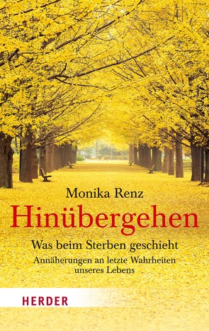 Hinübergehen von Renz,  Monika